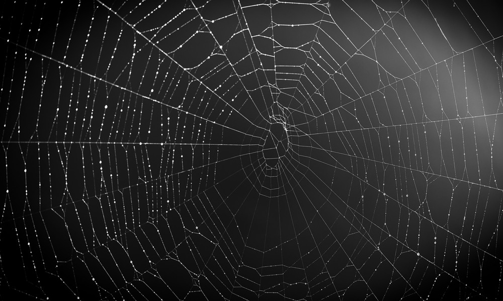 What is the Dark Web and Why Should we Care?